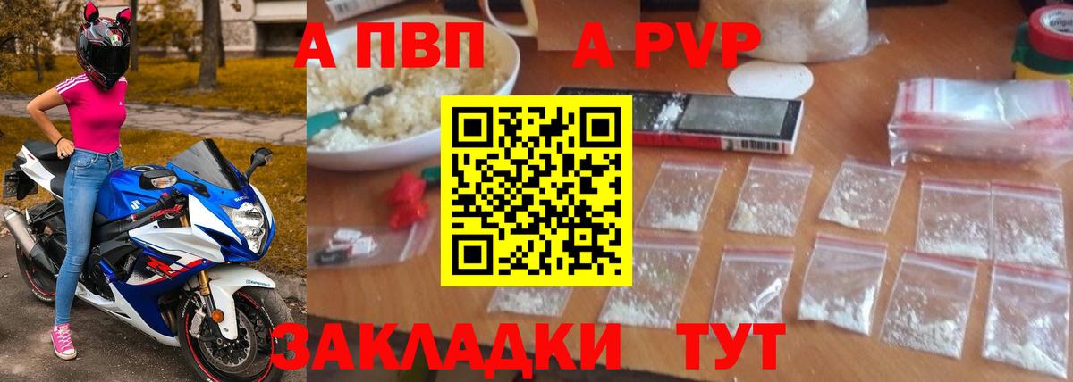 Alfa_PVP СК КРИС Саратов