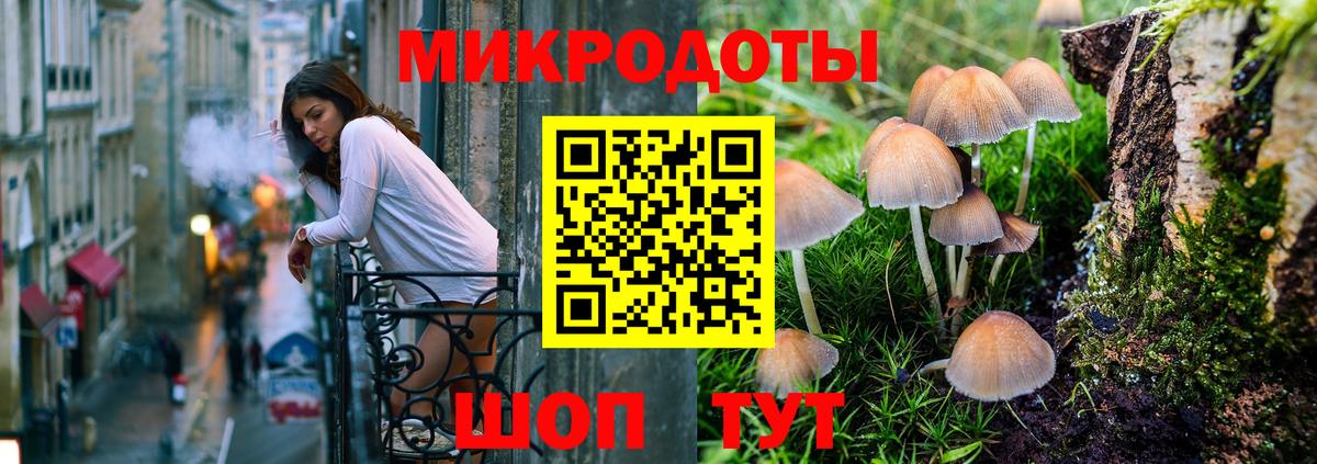 Саратов  как найти закладки  Вход с VPN  Псилоцибиновые грибы Psilocybine cubensis  Галлюциногенные грибы мицелий 